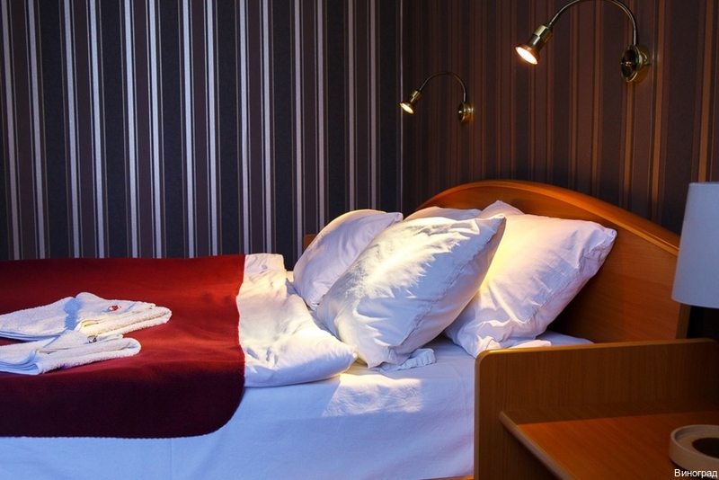 Фото Виноград