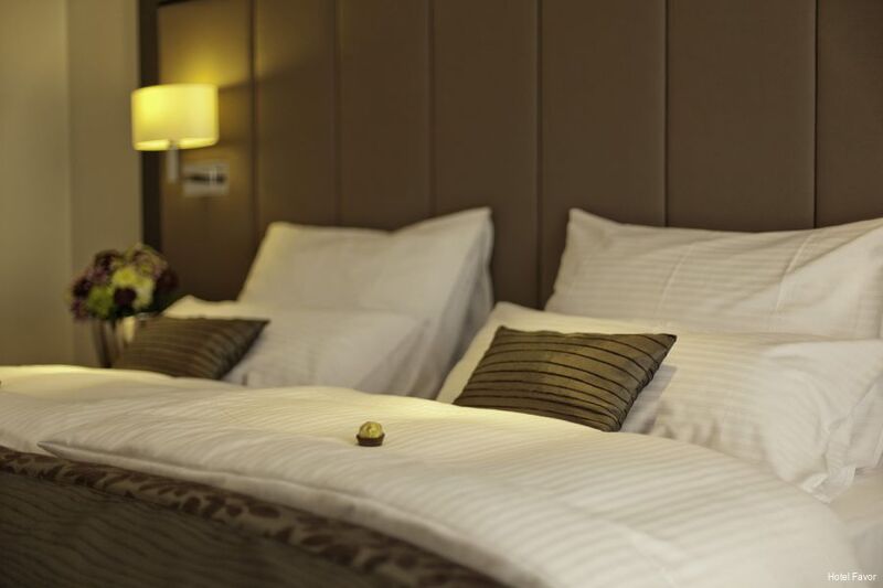 Фото Hotel Favor