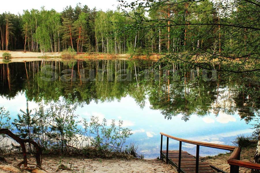 Фото Лесная сказка