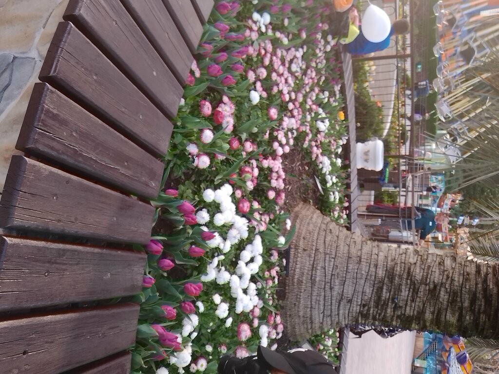 Bench Bench, Sochi, photo