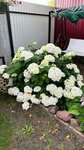 Sadovy Mir (Moskvoretskaya Street, 47) ، متجر البذور