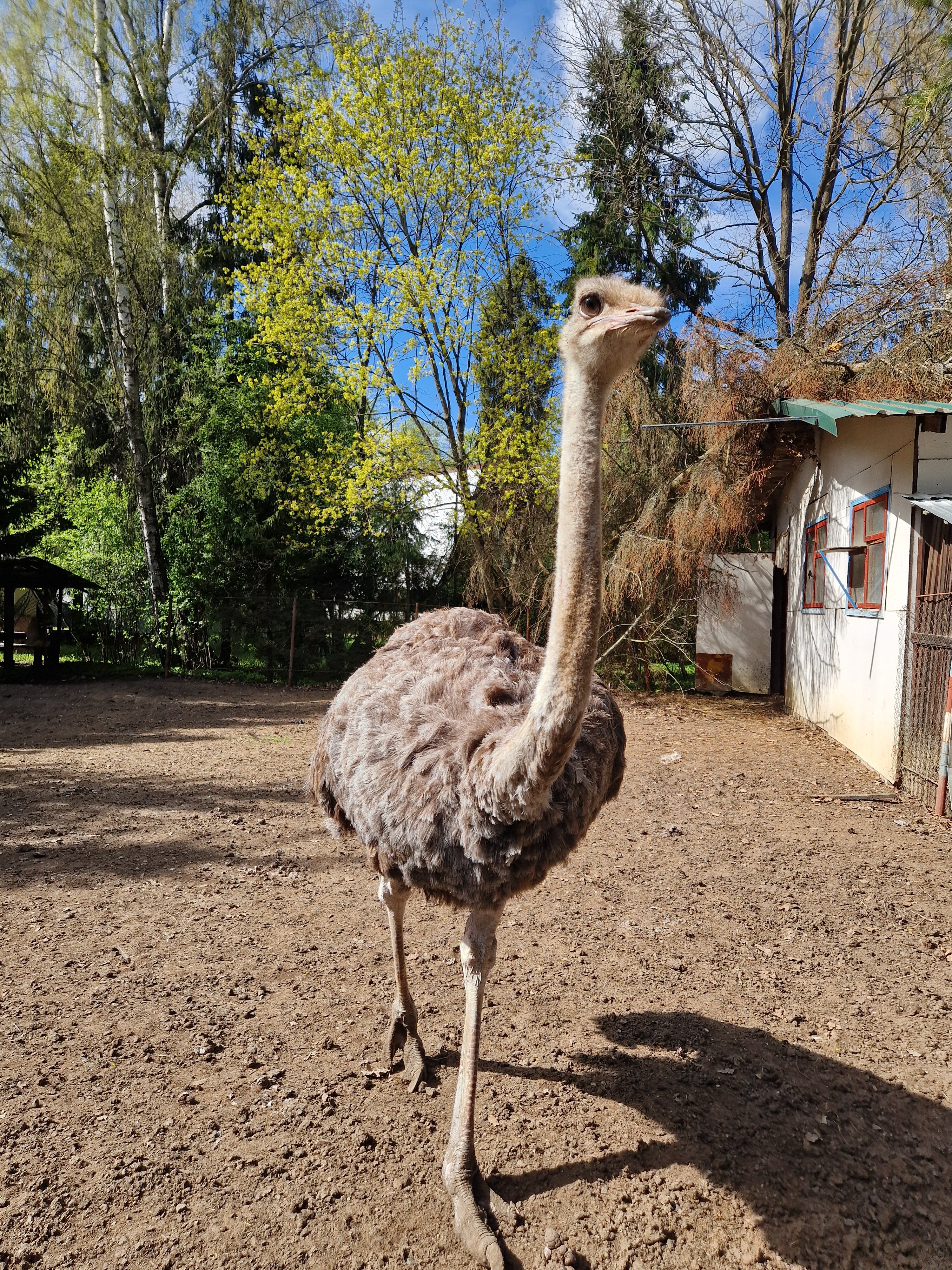 Фото Солонцово