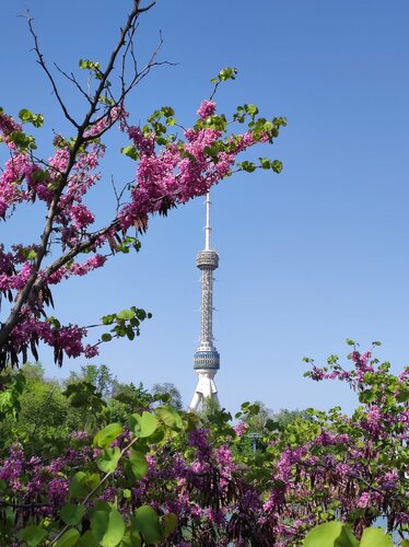 Semiz ayol bilan jinsiy aloqa onlayn