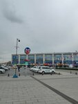 Coach Station (İstanbul, Bus Terminal Connection Road Avenue, 6) ، محطة الحافلات