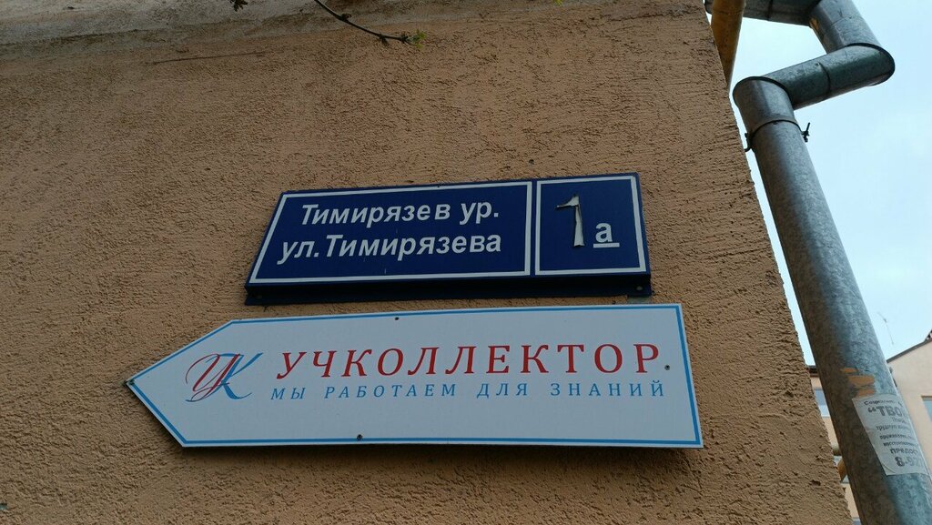 Internet marketing Vektor, Kazan, photo