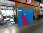 Озон Box (22-go Partsyezda Street, 2) ، الطرود الآلي