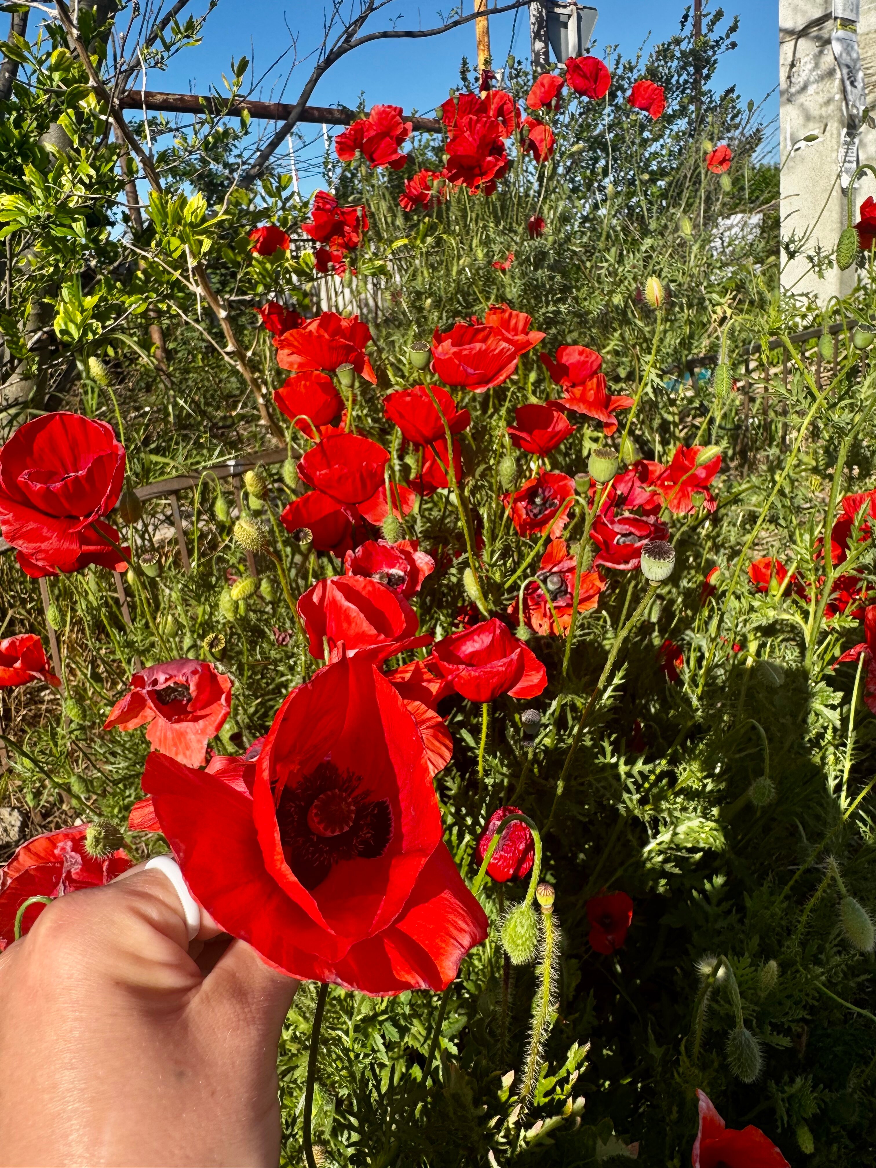 Фото Жилье на Янтарной
