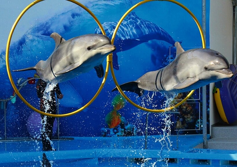 Фото Аква Лайф