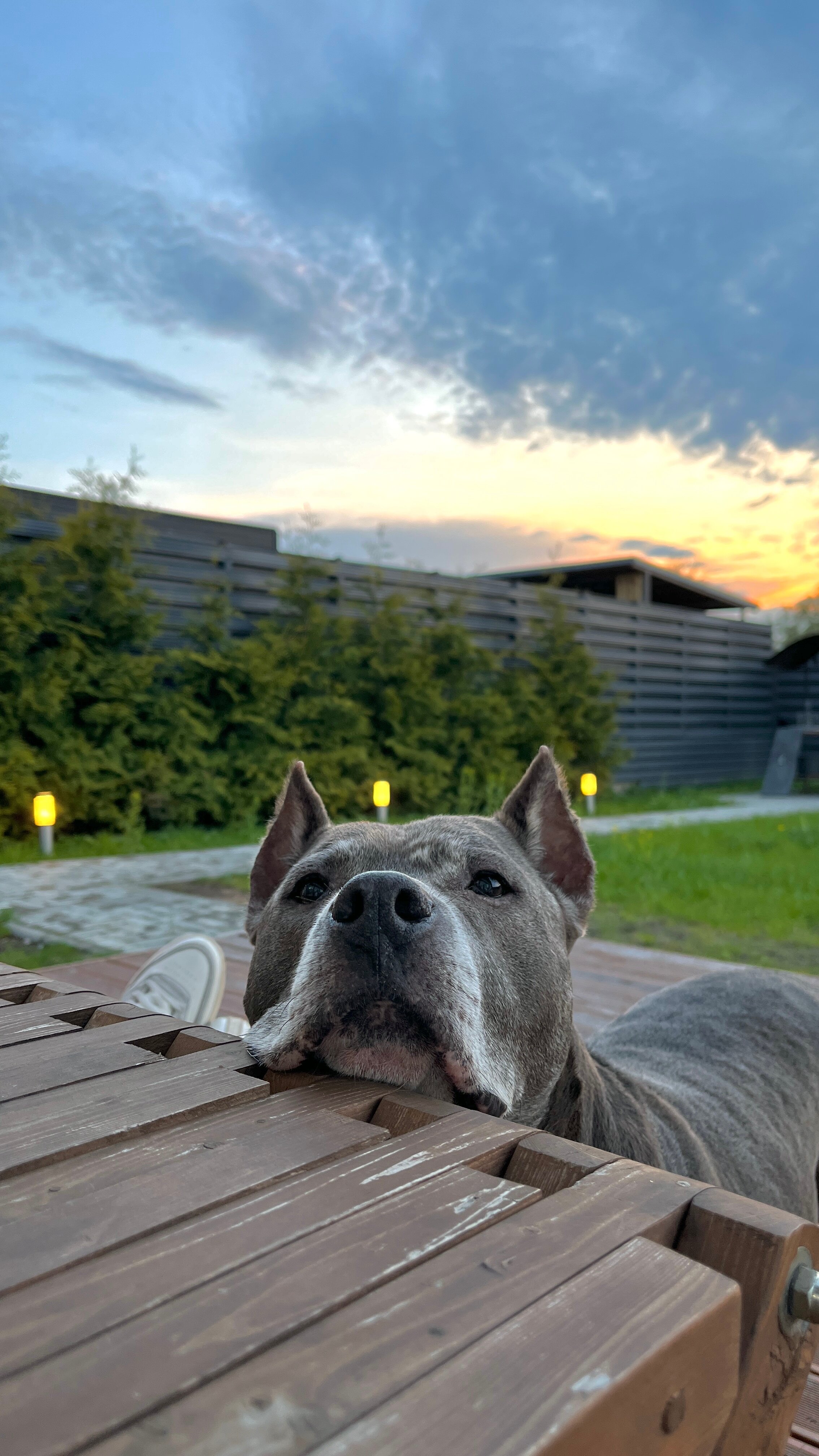 Фото Sosna Igora house