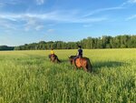 Сосновская конно-спортивная школа (rabochiy posyolok Sosnovka, Tsentralnaya ulitsa, 16), club de caballos