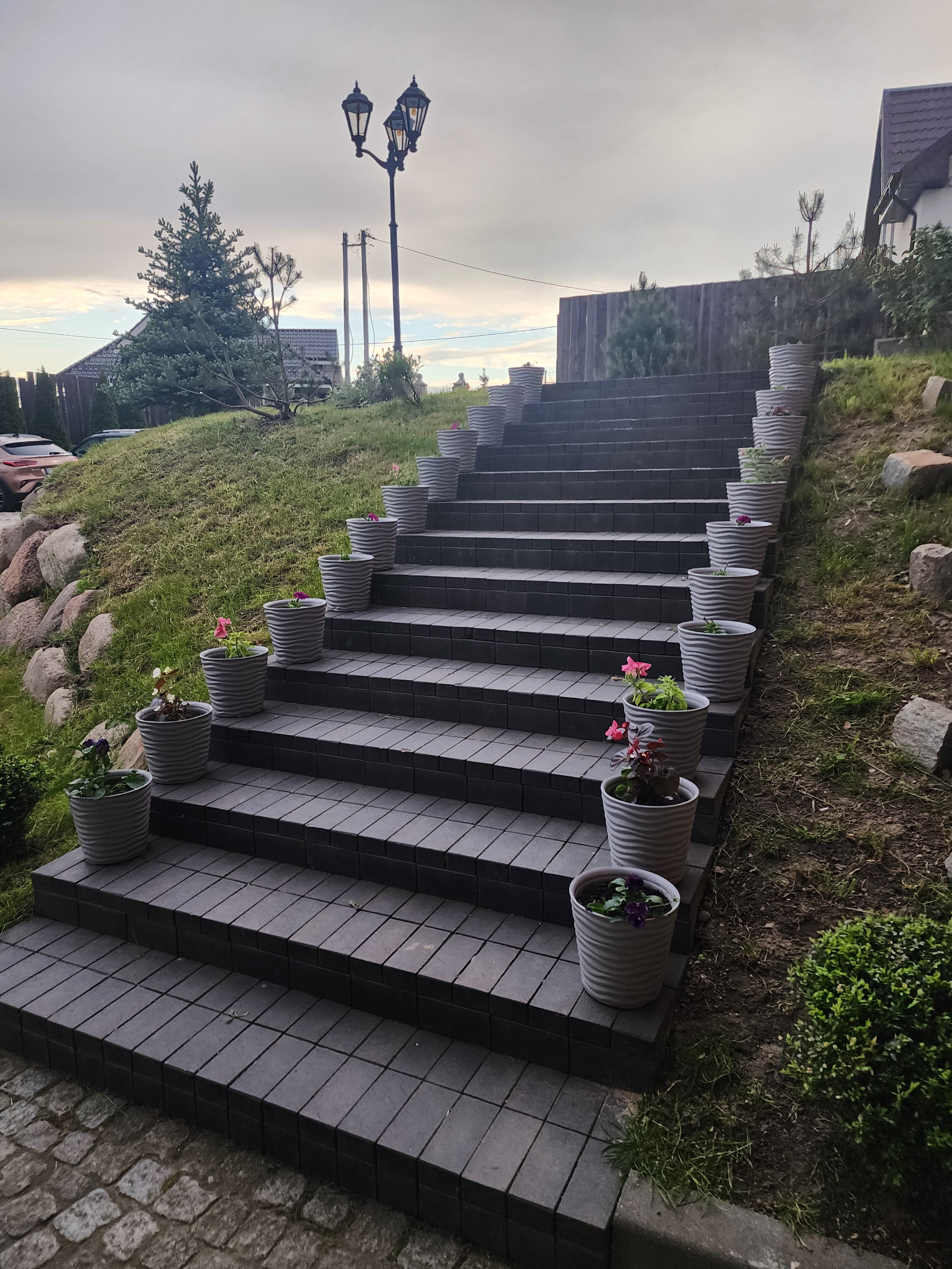 Фото Альфа Гарден