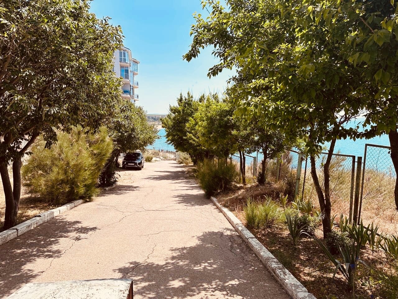 Фото Star Resort