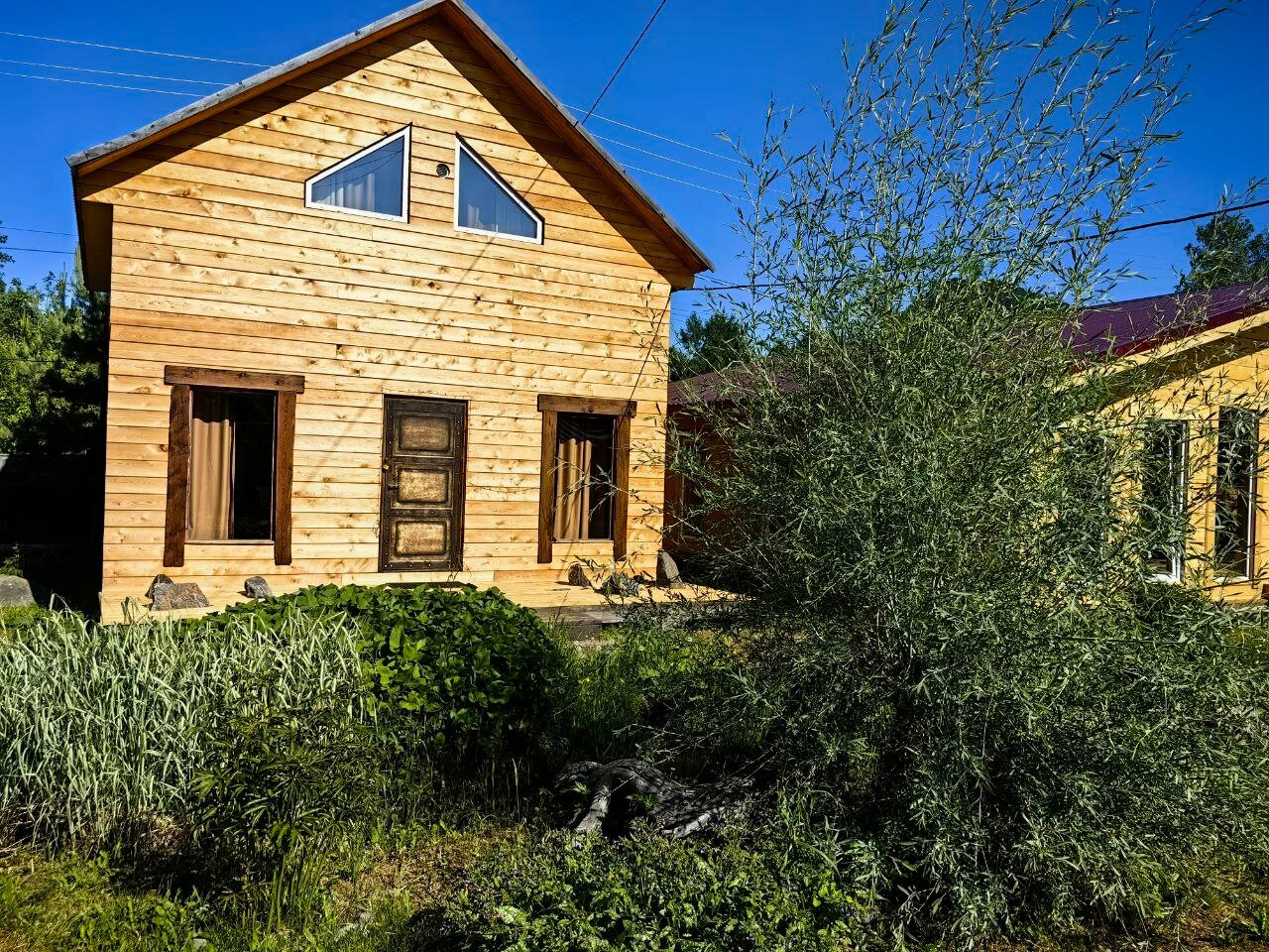 Фото Алтайна