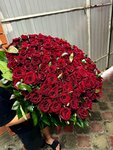 Розы Майкоп (Proletarskaya Street, 202) ، محل زهور