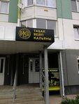 Hookah Guys Store (ulitsa Kuznetsova, 30к2), vape shop