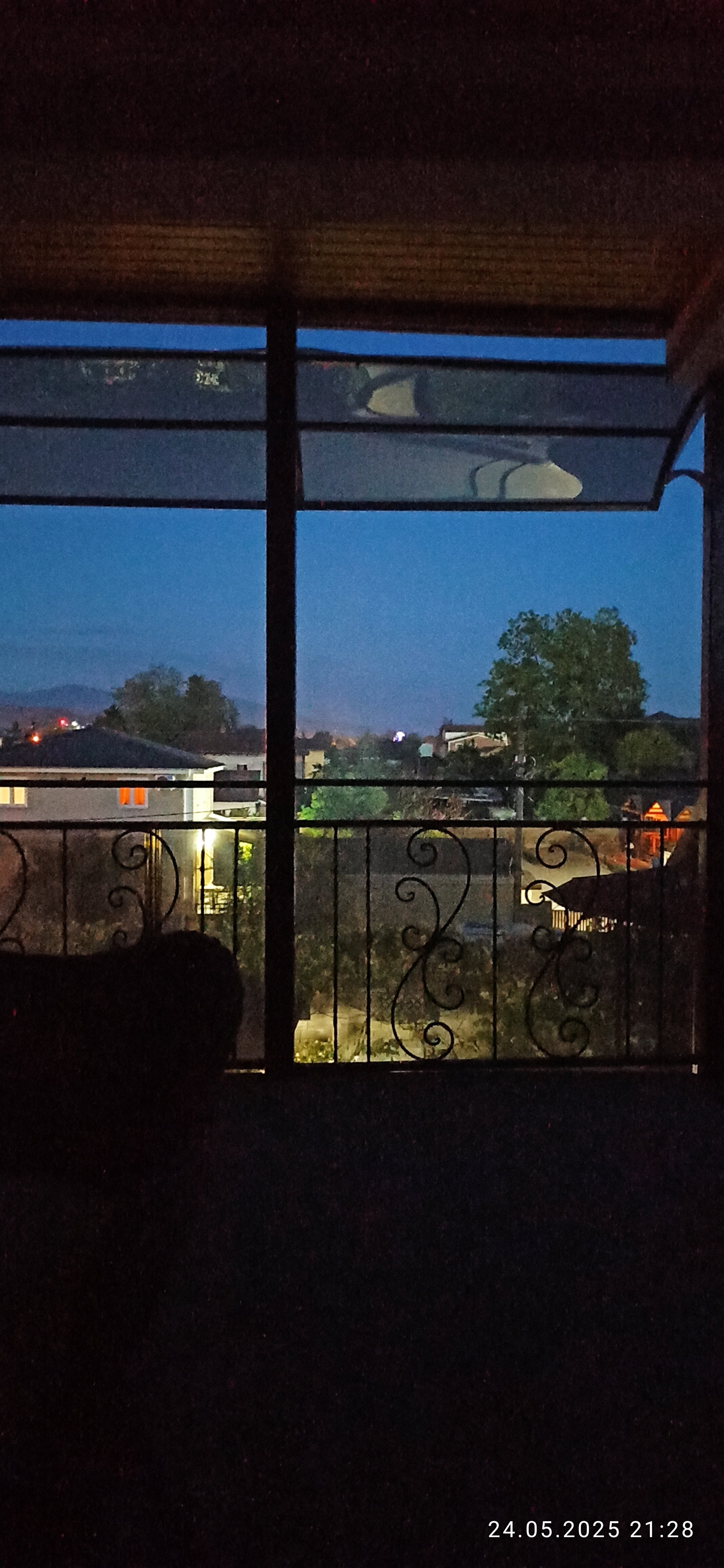 Фото Камелия