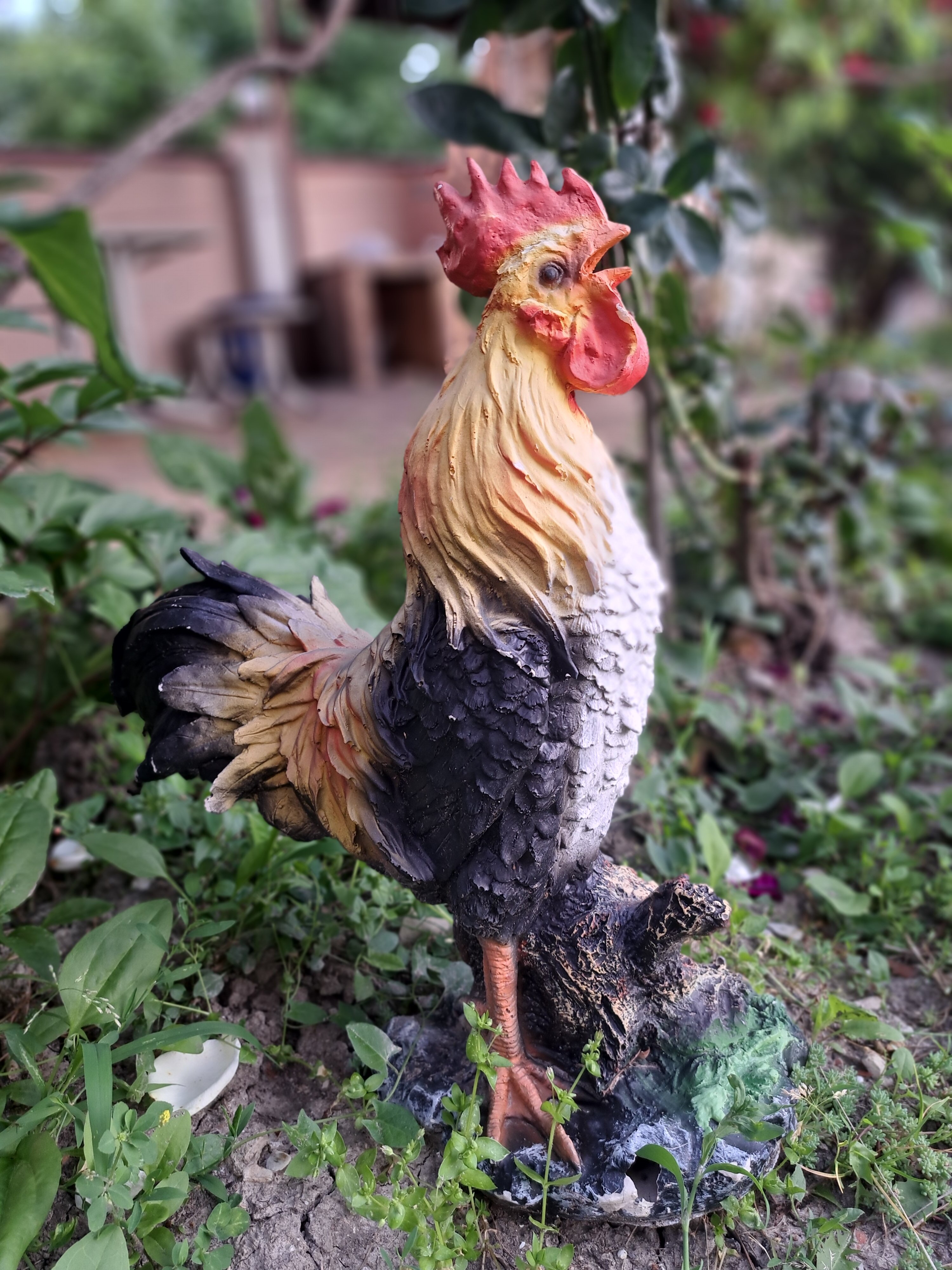 Фото Неолит