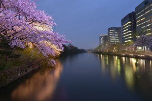 Гостиница Hotel New Gaea Domemae