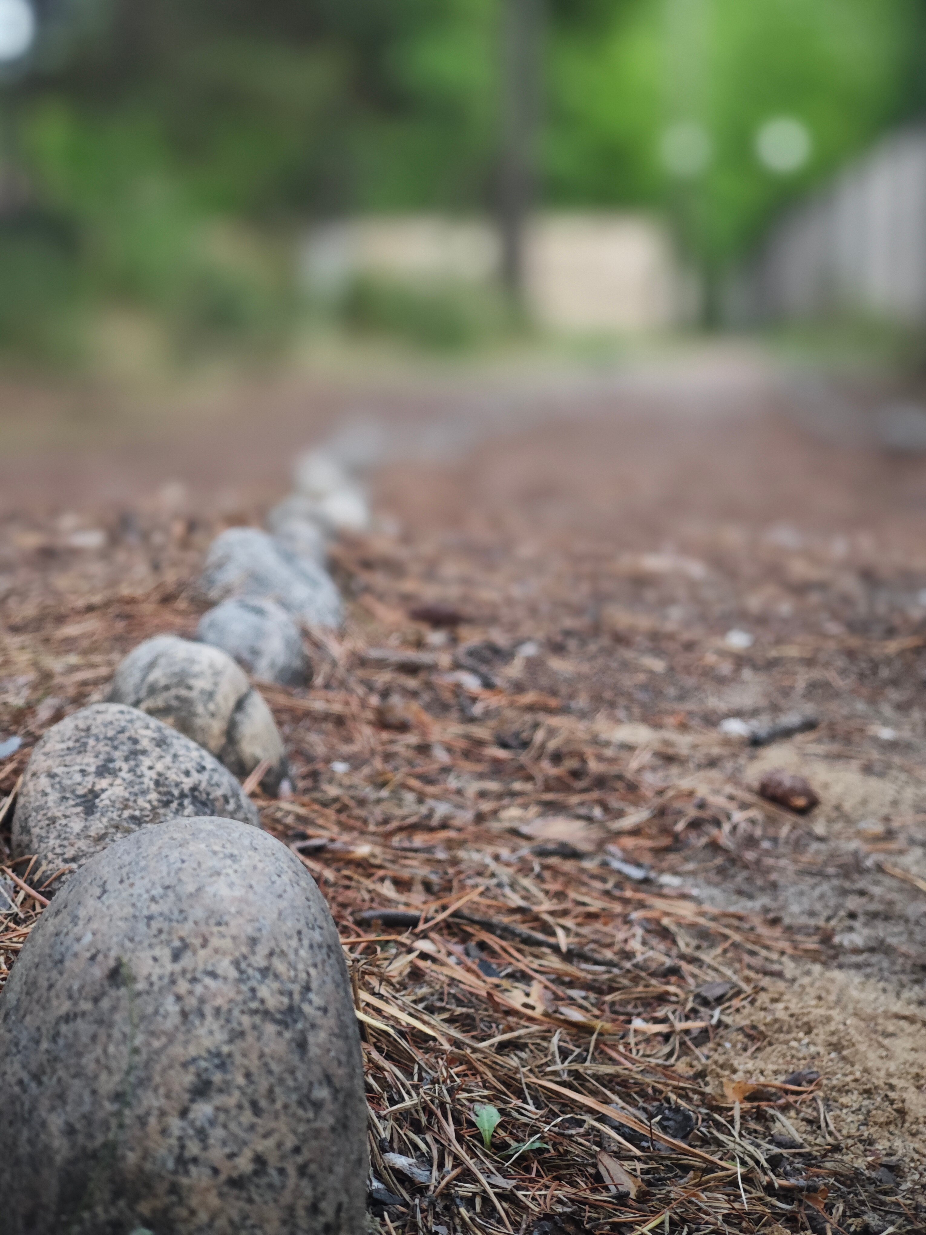 Фото Тэнсуури