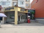 Shopcase Gulzi (Abylai Khan Avenue, 29/1), productos para teléfonos móviles