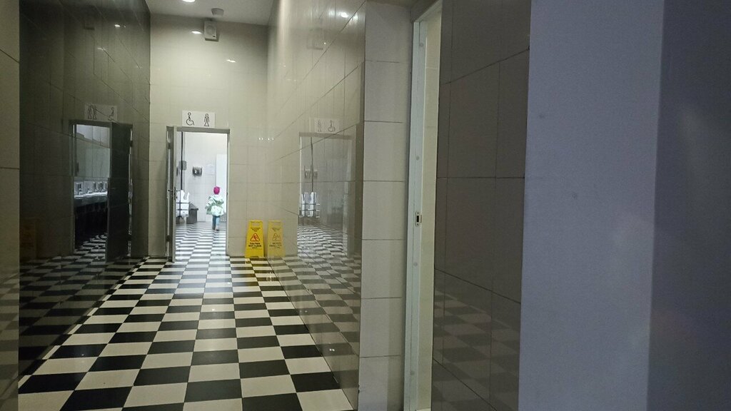 Toilet Туалет для инвалидов, Moscow, photo