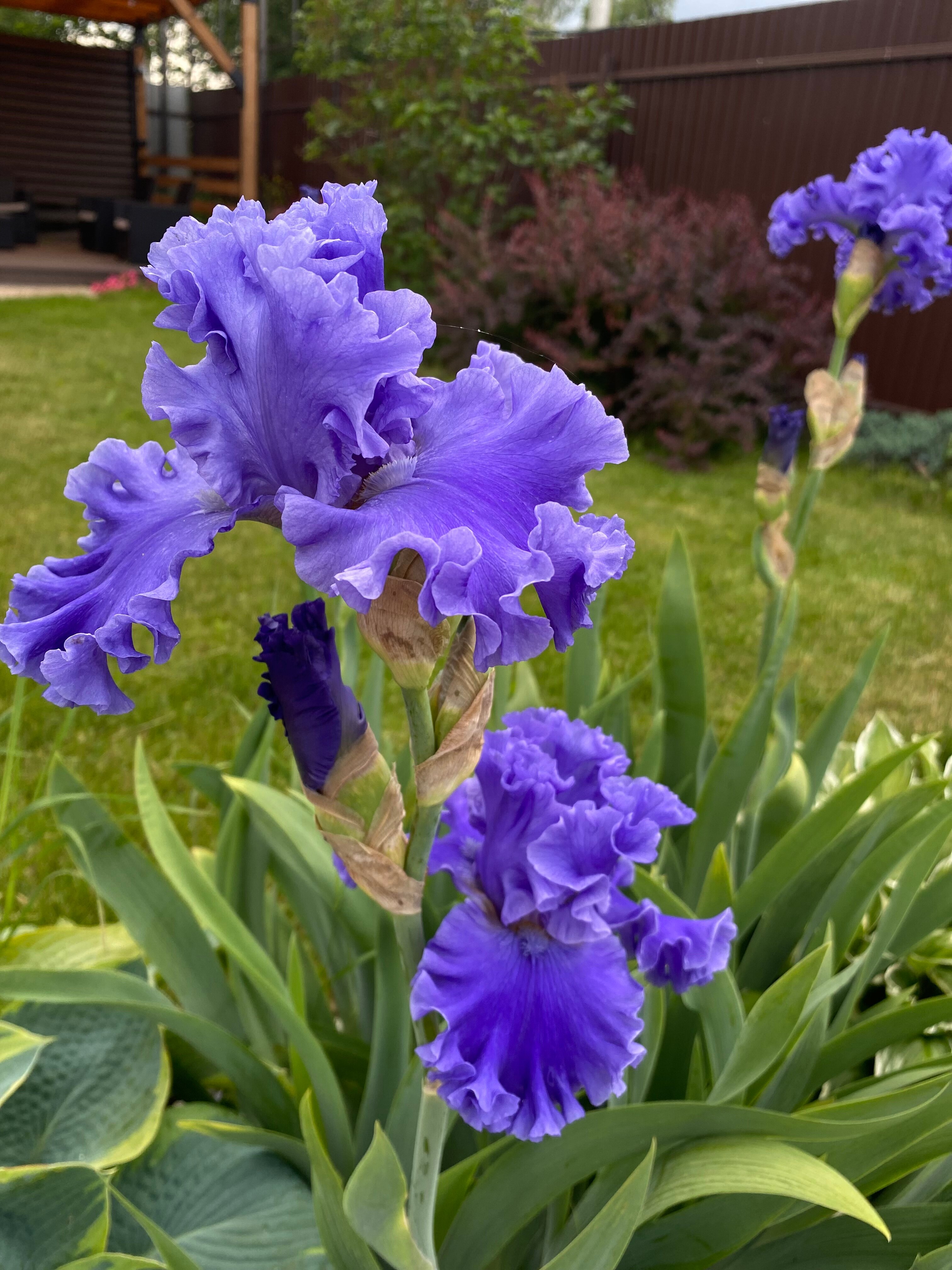 Фото Эстель