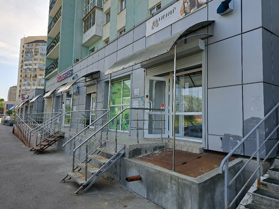 Ветеринарная клиника TerraLab, Саратов, фото