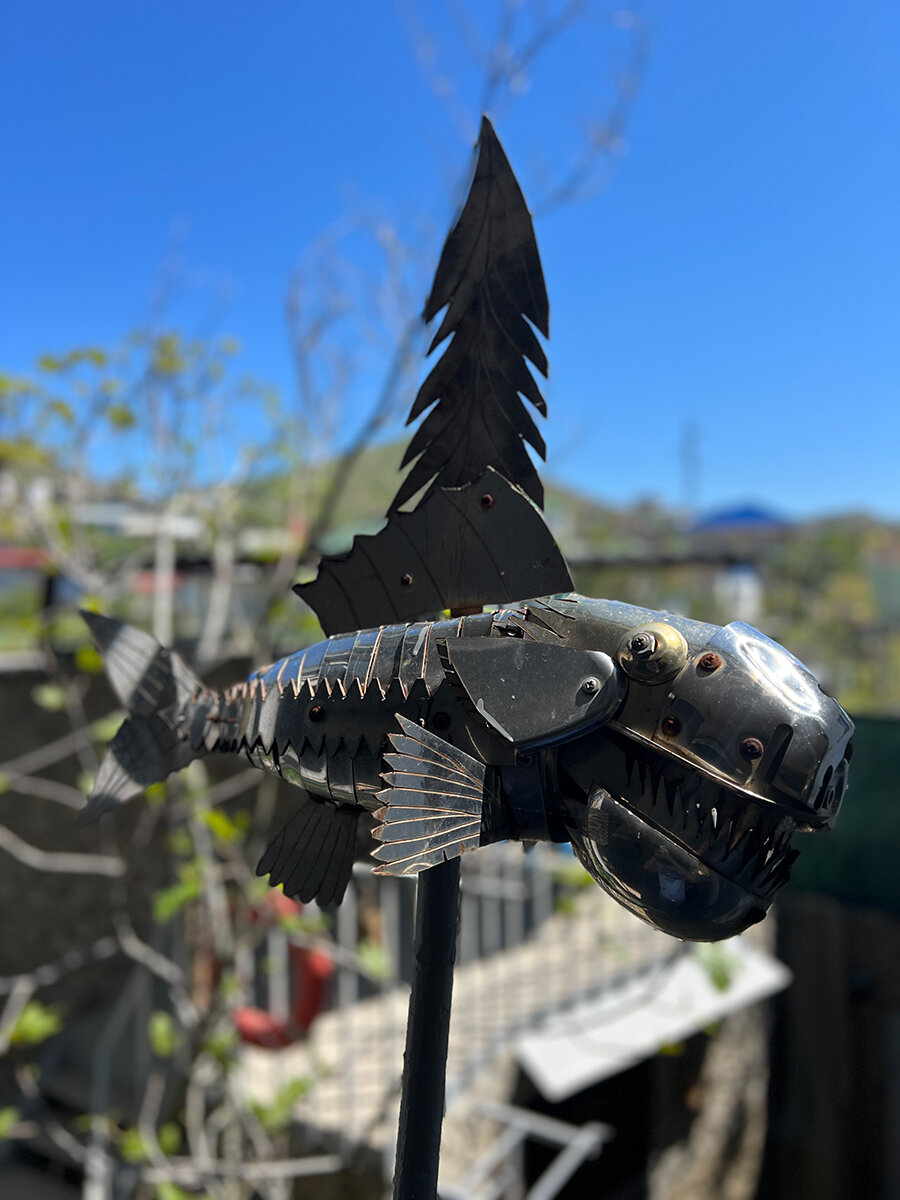 Фото Дом Пирата