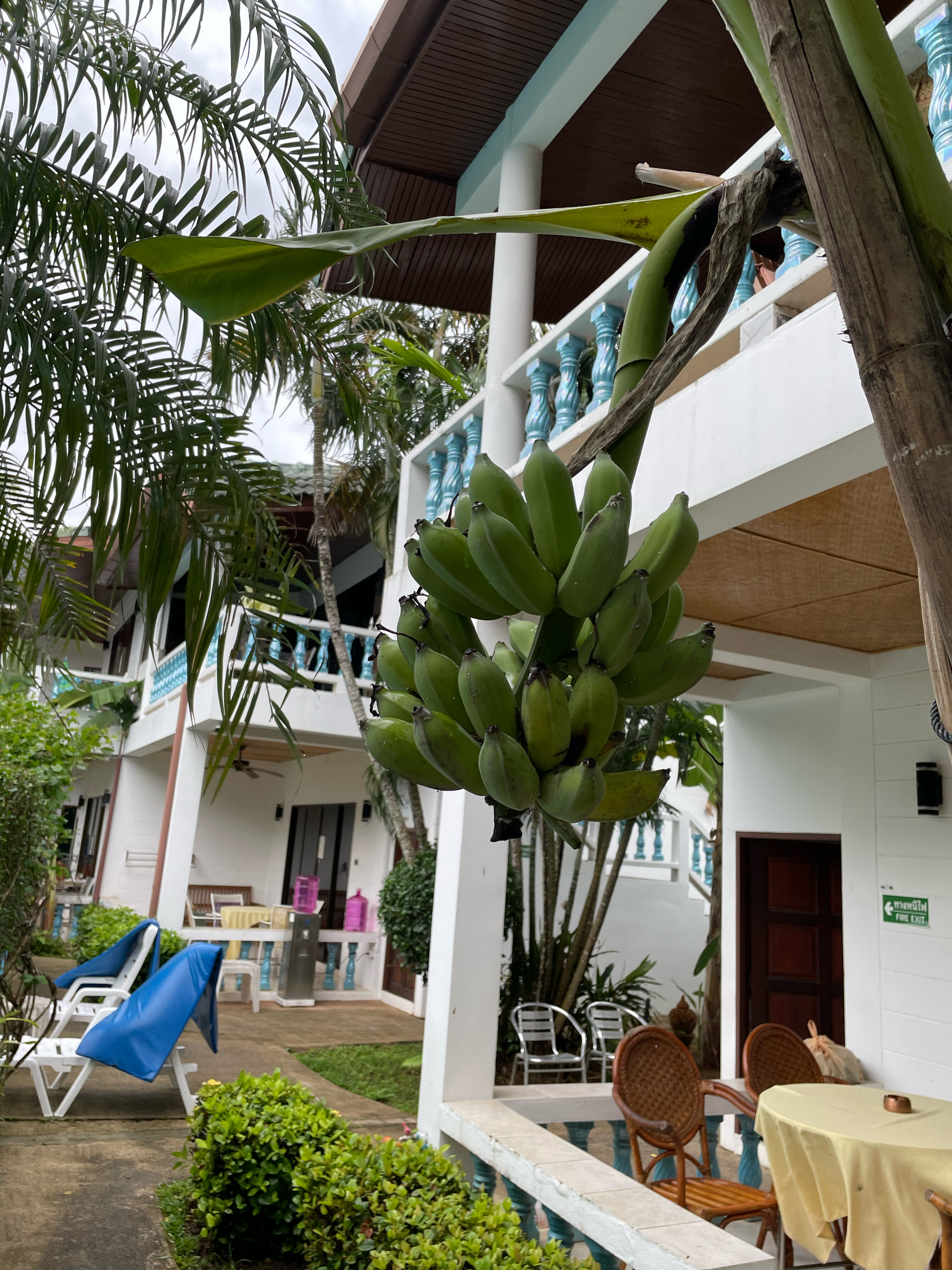 Фото Ya Nui Resort