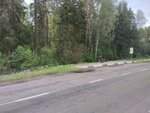 Поворот на Заровье (R-19), public transport stop