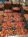 Овощи и фрукты (ulitsa Stroiteley, 60), greengrocery