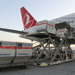 Bl Turkey (İstanbul, Esenler, Oruçreis Mah., Vadi Cad., 108), logistics company