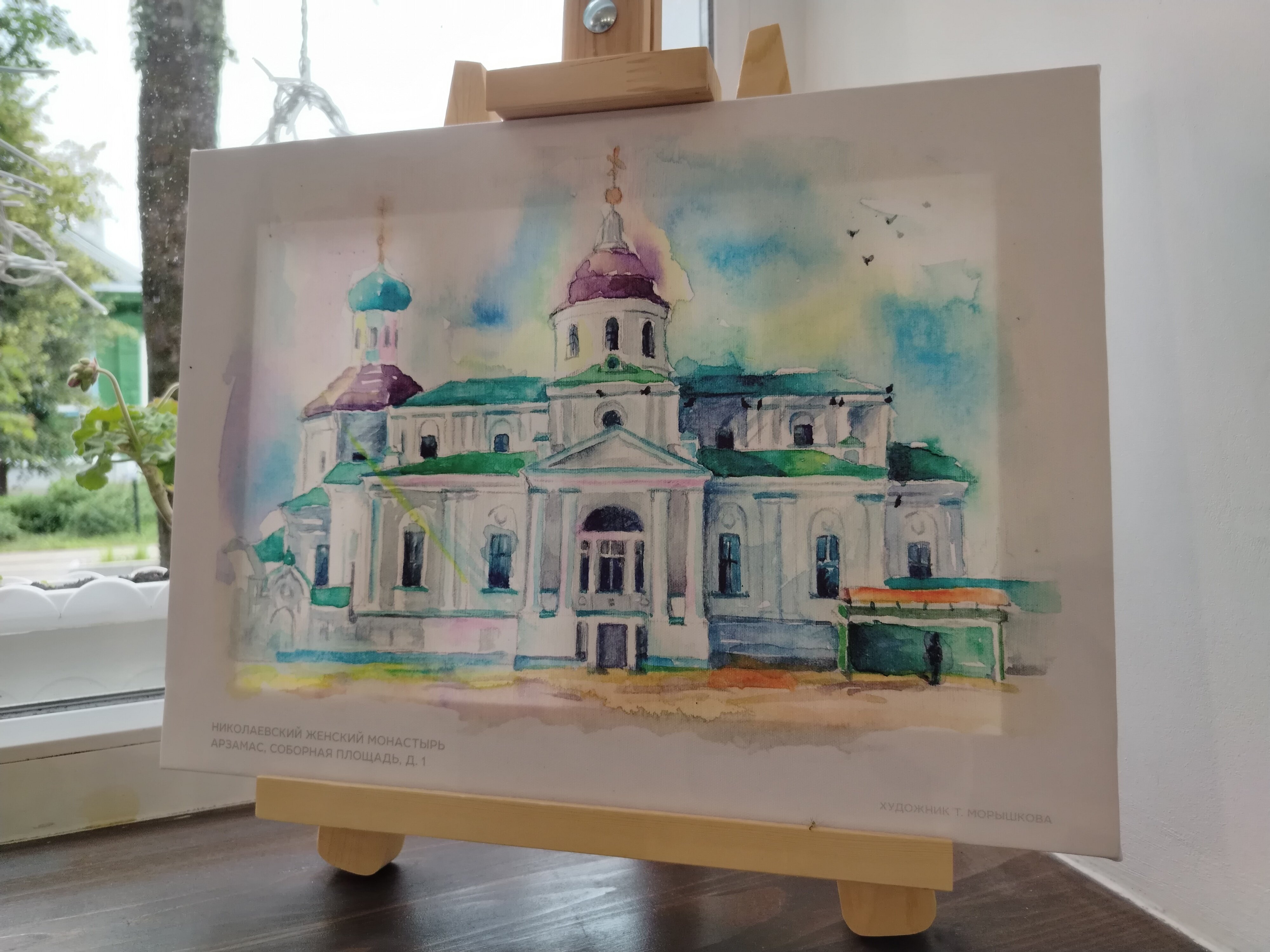 Фото Сальников