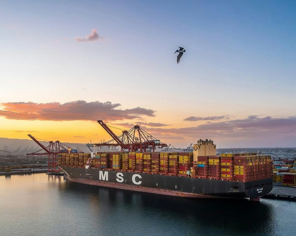 Rail freight transport Msc Central Asia, Almaty, photo