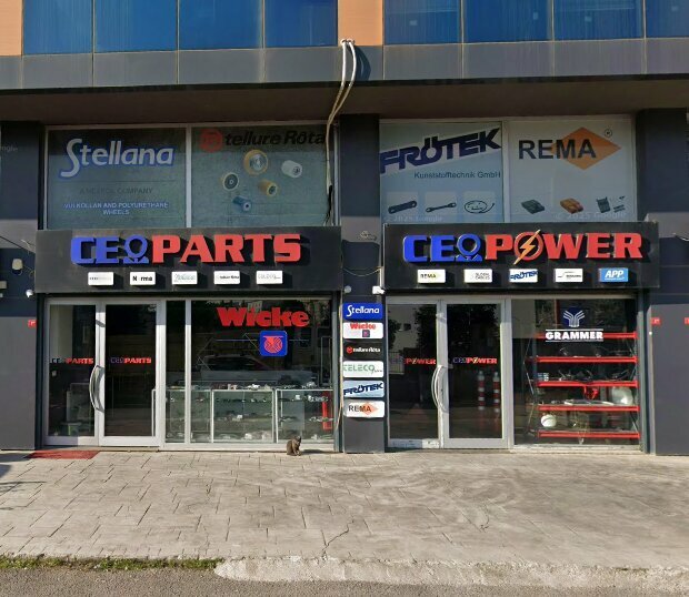 Industrial enterprise Ceoparts, Istanbul, photo