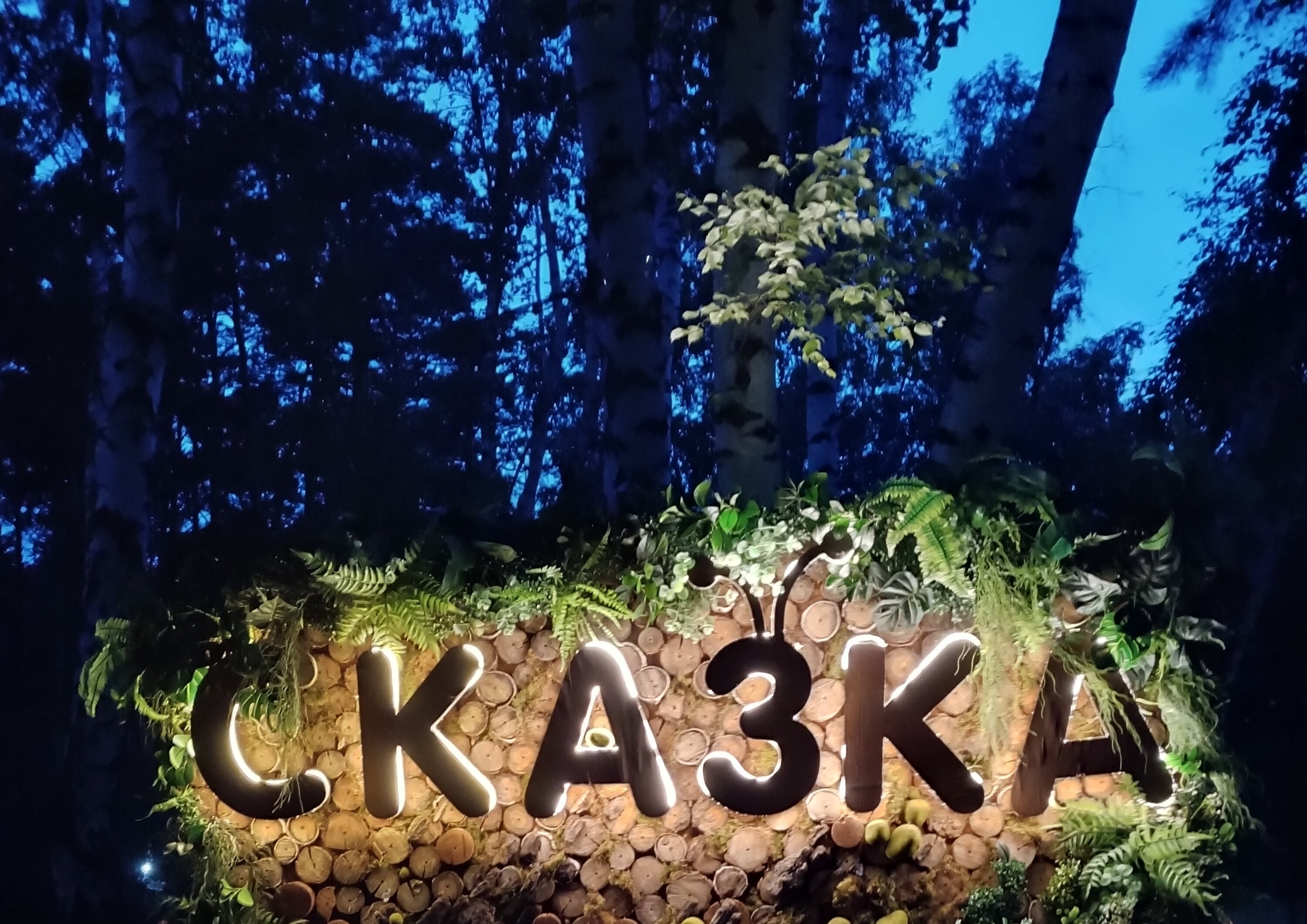 Фото Сказка