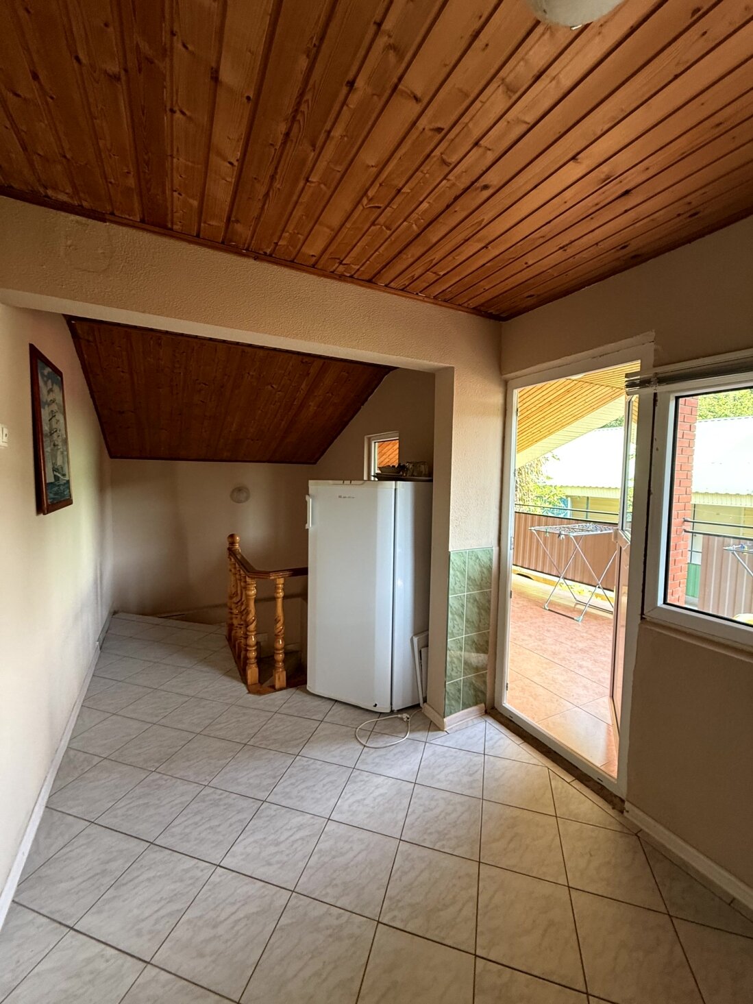 Фото Золотая рыбка