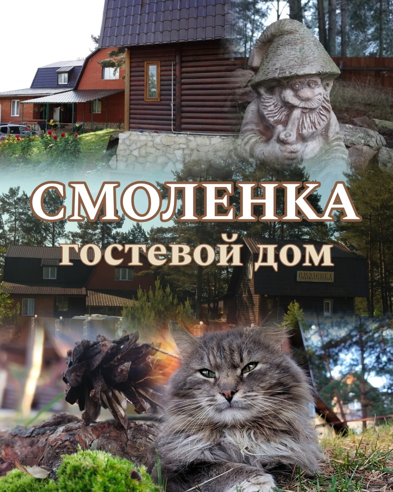 Фото Смоленка