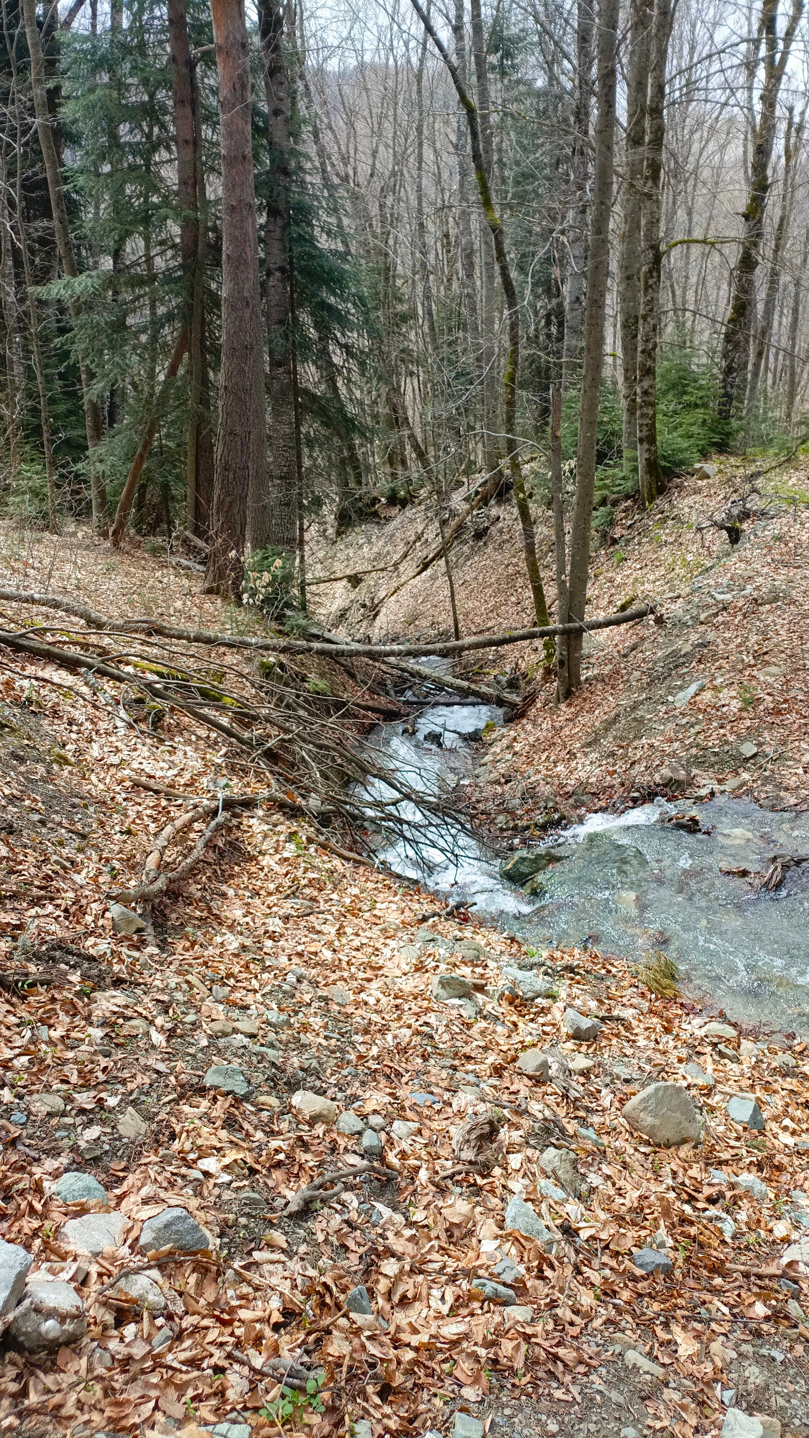 Фото Тишина