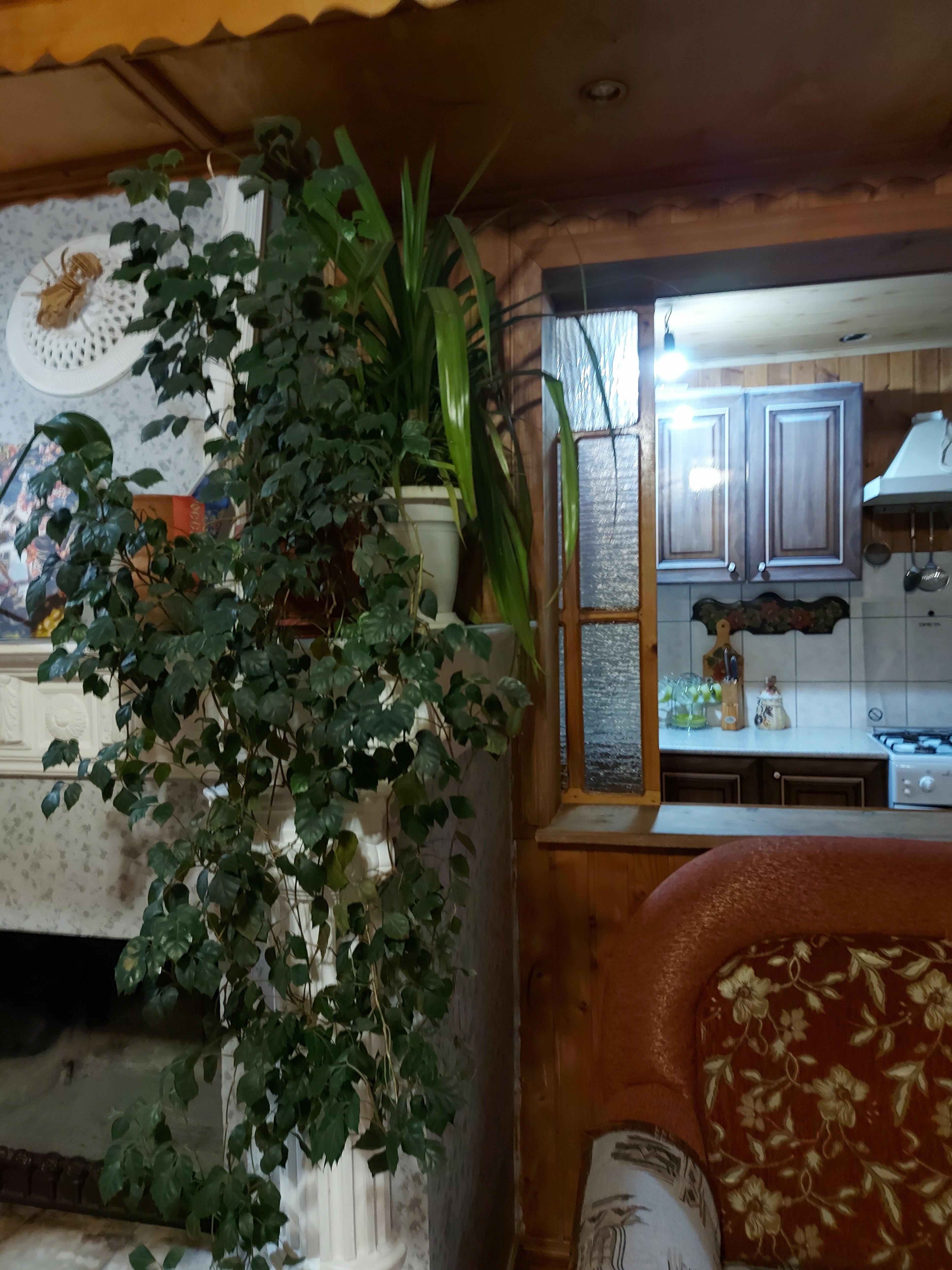 Фото Дом у горной реки