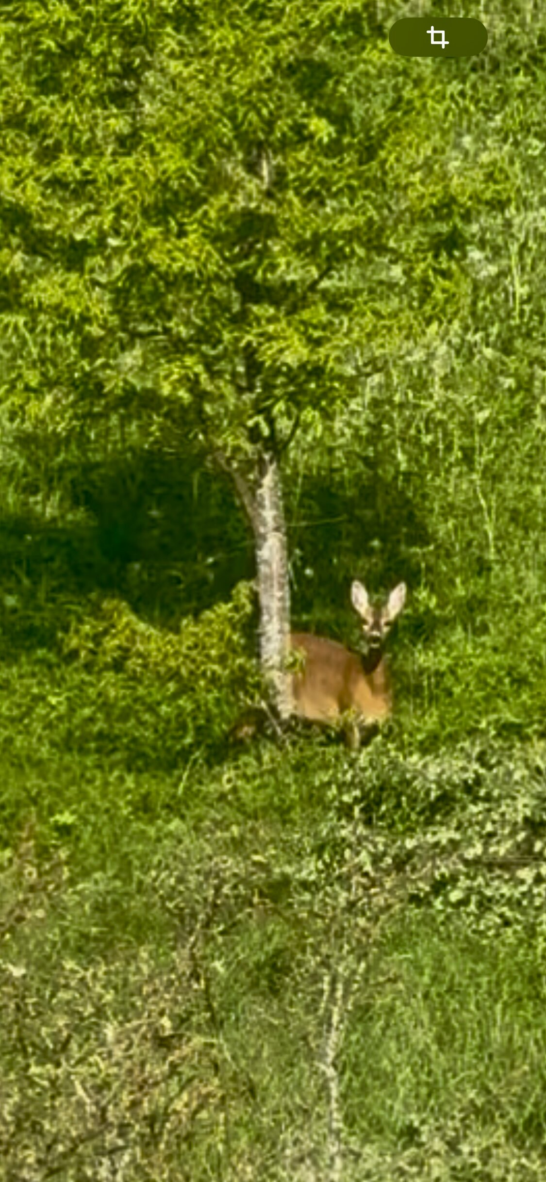 Фото Кибитка на холме