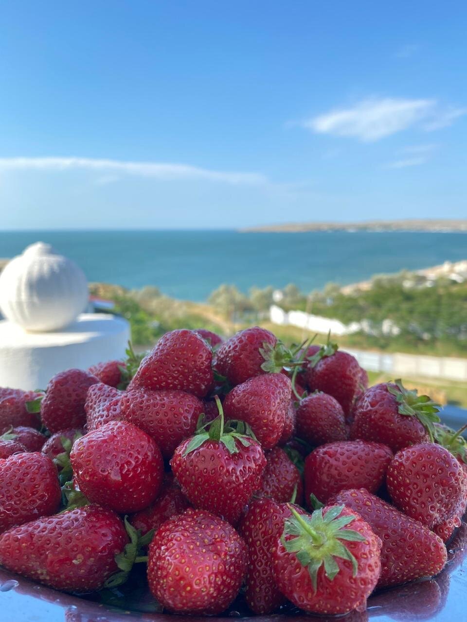 Фото Калипсо