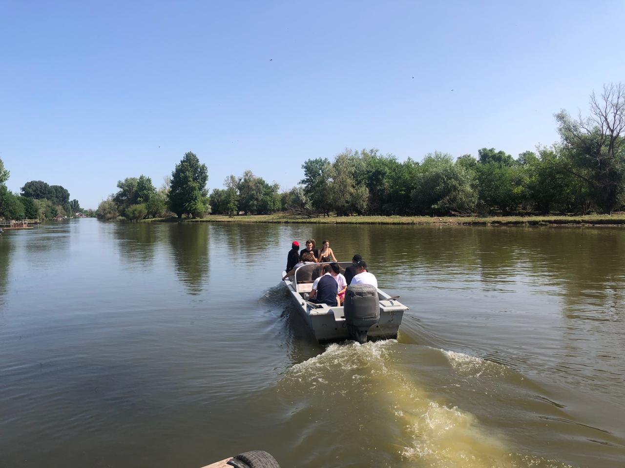 Фото Тополь - Эм