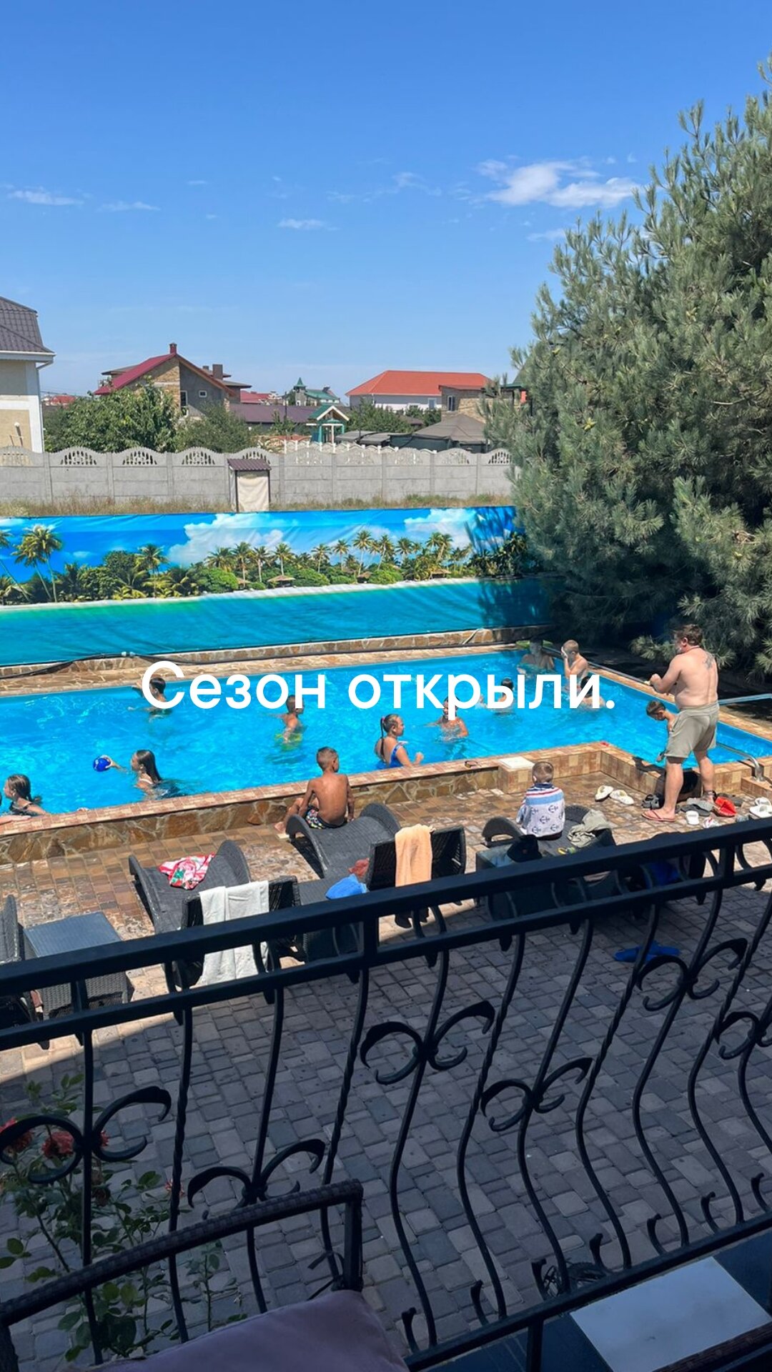 Фото Муравейник