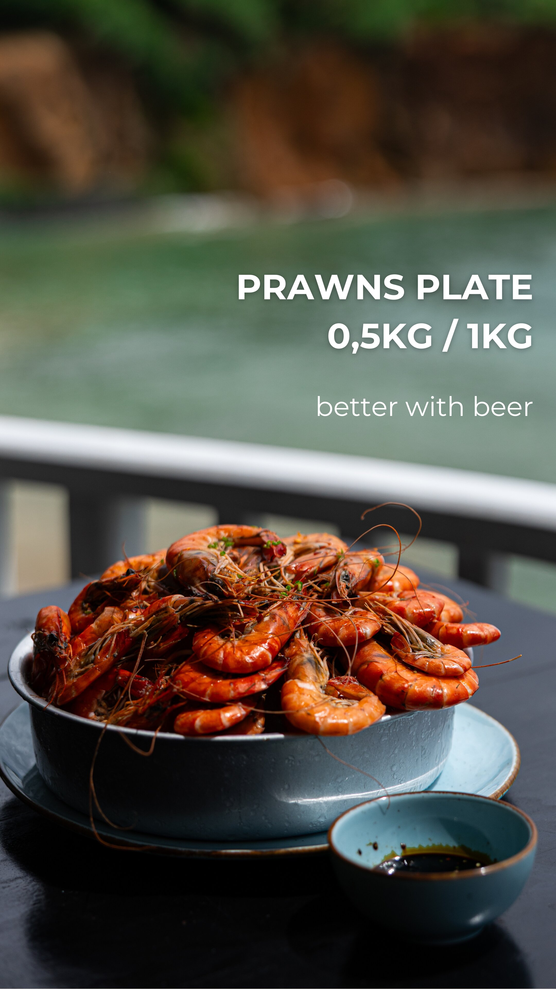 Фото We Are Surfers