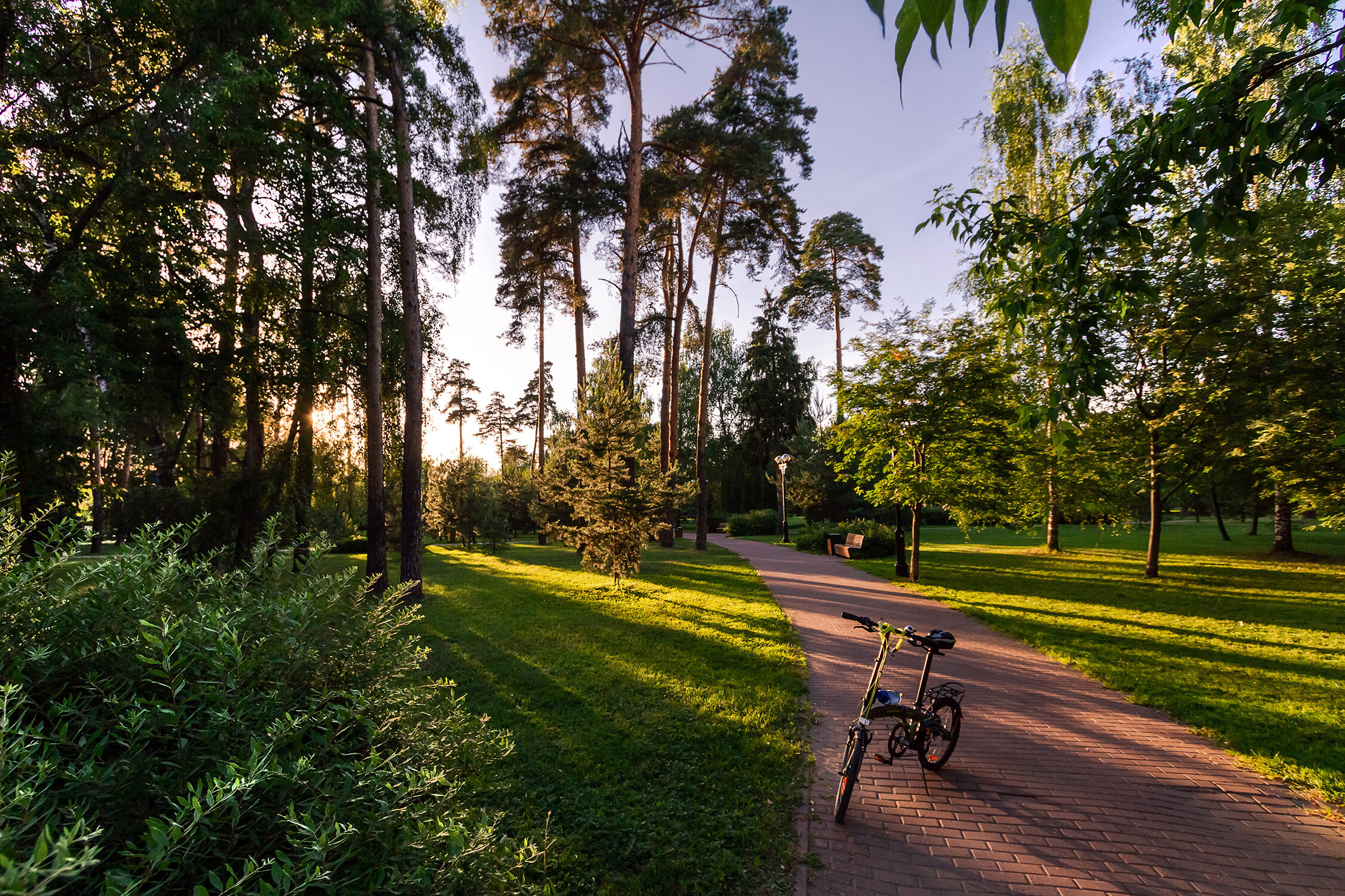 Фото Дом Соколова