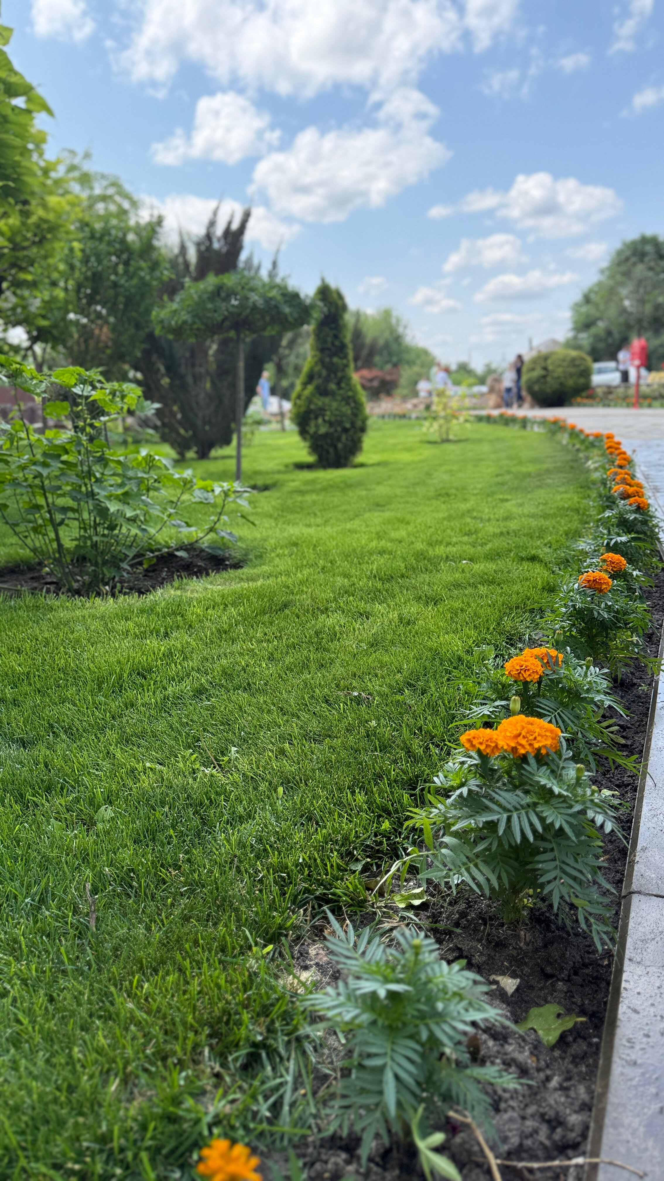 Фото Добрый