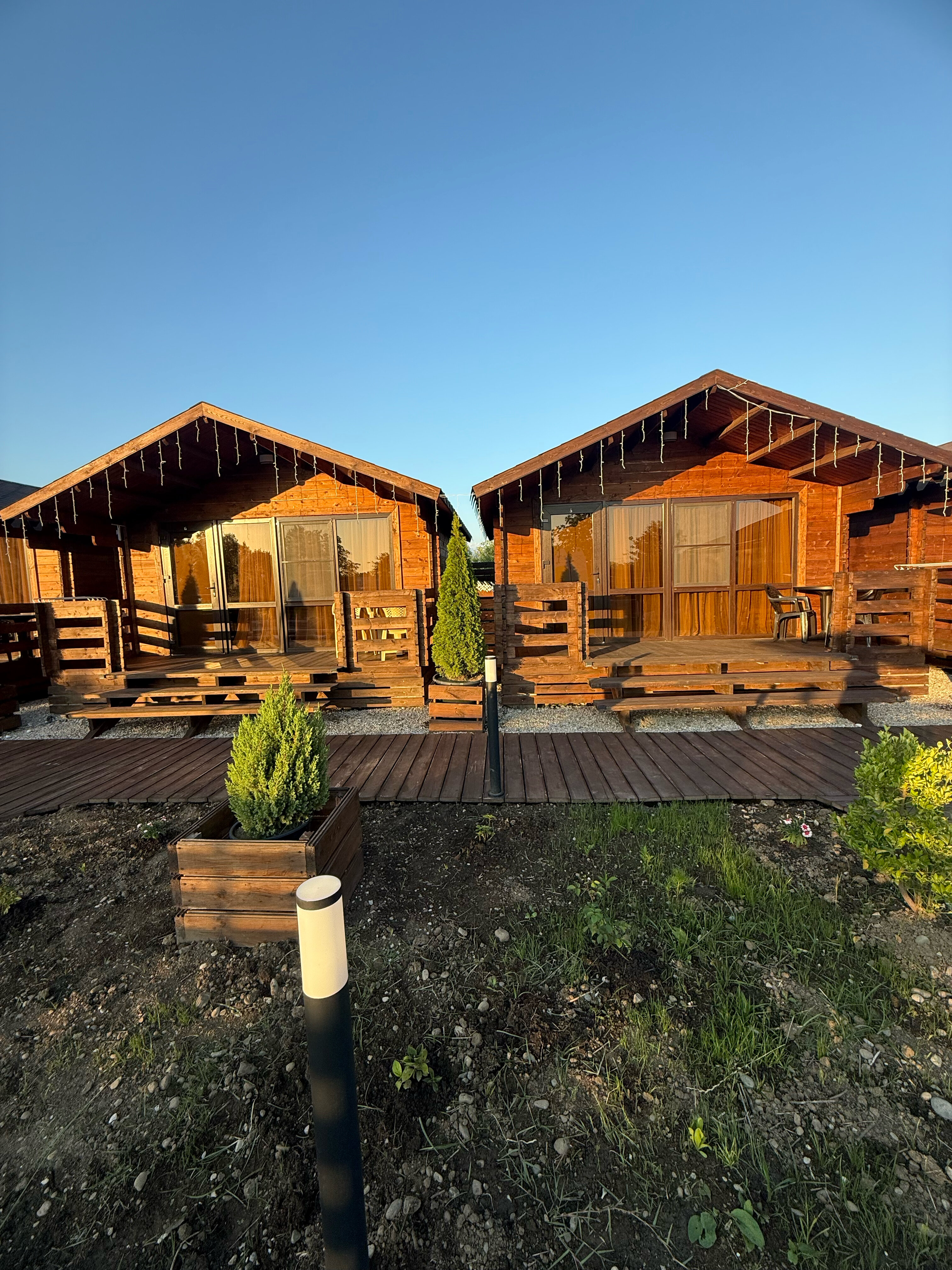 Фото Платан-Paradise