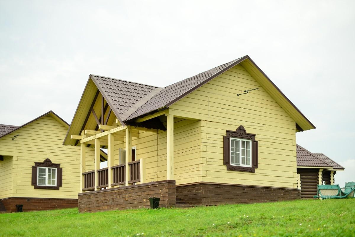 Фото Калина красная