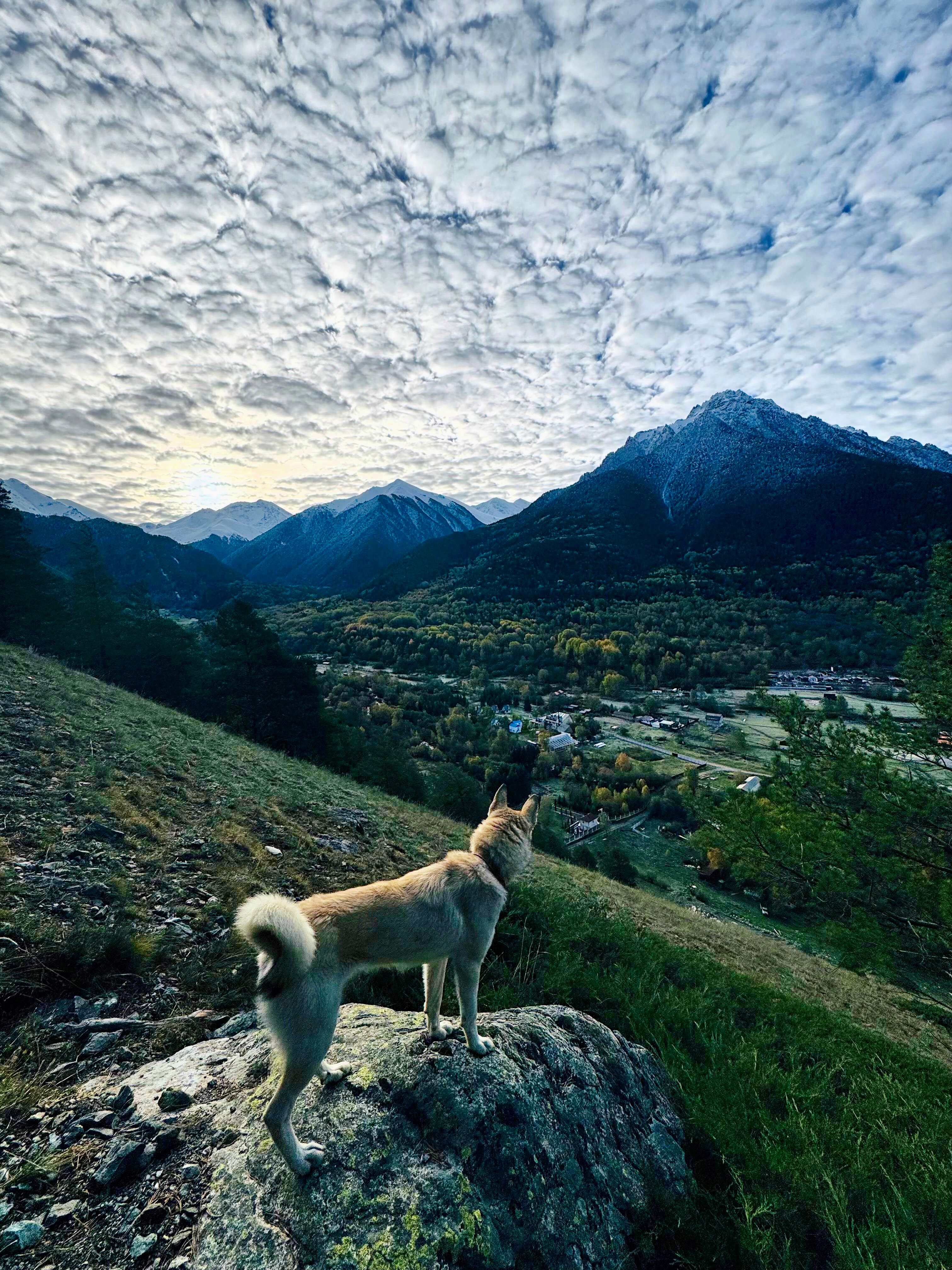 Фото Why Not Relax